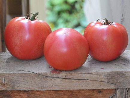 Tomato - o descriere de culoare roșie a unui tomat cu o fotografie