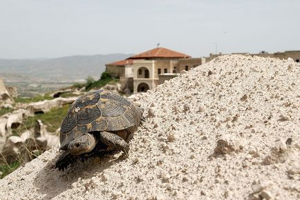 Subtilitățile organizării unei călătorii în Cappadocia