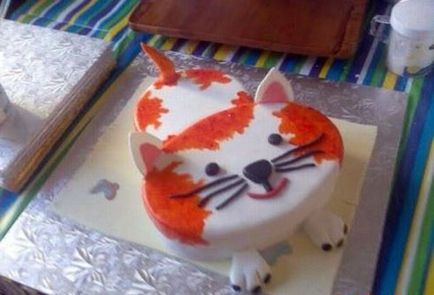 Cake macska továbbra is