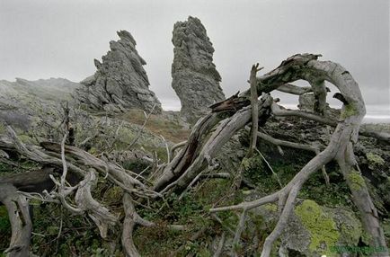 Zone turistice din regiunea Perm - rezervație naturală - bassegi