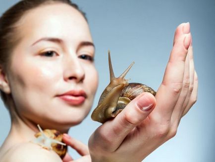 Csiga Achatina kozmetikai arcmasszázs, női szakértő (Achatina) Csiga Achatina kozmetikai arcmasszázs, női szakértő