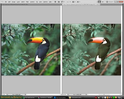 Урок photoshop переклад цміка в пантони в фотошопі, з подальшим записом пс-файлів з ід