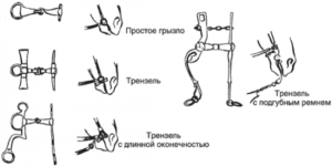 Cătușă pentru o specie de cai, componente, structură