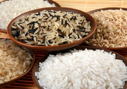 Види і сорти рису, класифікація рису