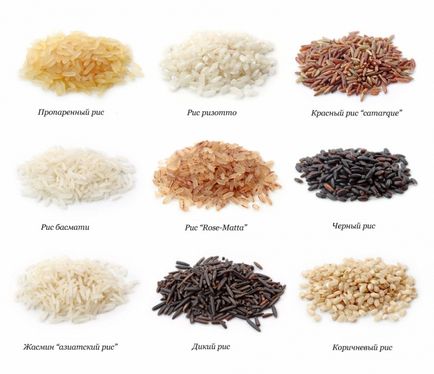 Tipuri și varietăți de orez, clasificarea orezului