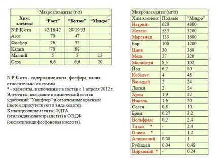 Вирощування зелені на гідропоніці в домашніх умовах, цибулю і зелень на грубоксе