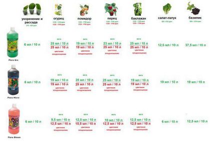 Вирощування зелені на гідропоніці в домашніх умовах, цибулю і зелень на грубоксе