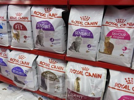 Виставка кішок «гран-прі royal canin - 2016»