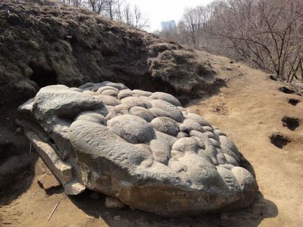 Totul despre infertilitate - piatră de gâscă și piatră girlandă în parcul Kolomna (moscow)
