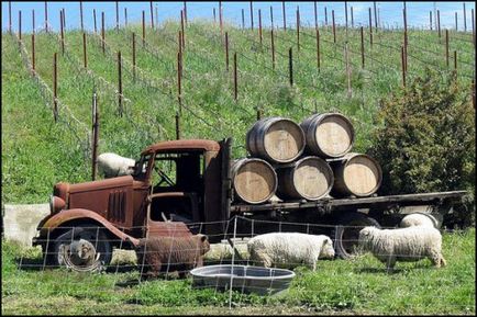 De ce de ce vinuri - articole - vin și ... - dificultăți de transport