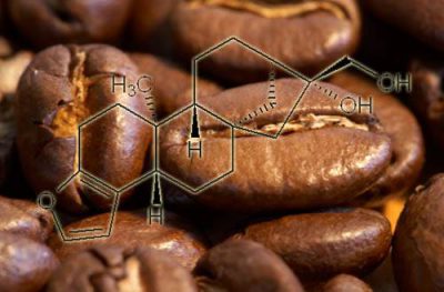 Холестерин і кава як кава впливає на кров