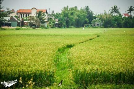 Hoian atracții și plaje din Vietnam