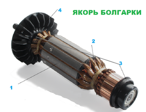 Ancora, ca componentă principală a electromotorului bulgar (Ushm)