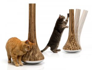 Miért macskák szüksége körömkoptatók, vörös macska