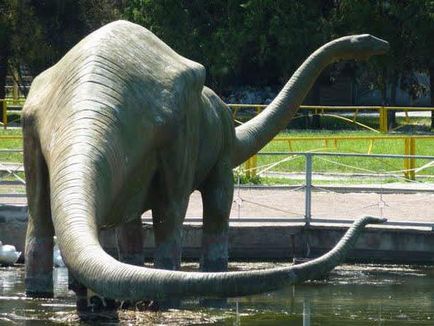 Zoos din Rostov adresa, fotografie, mod de operare