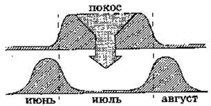 6 Дизруптивний (розриває) відбір