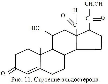 Alla Maslovskaya - biochimia hormonilor - pagina 5