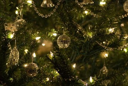 Apostolul Germaniei sau de ce decorăm pomul de Crăciun pentru Crăciun, viața ortodoxă