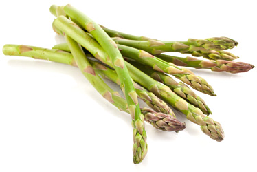 Asparagus - spárga - hasznos és káros tulajdonságait spárga (Asparagus)