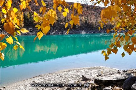 Turquoise Katun ősszel (félelmetes fotó, fotó-turné ősszel Altaj) (Altáj-hegység az autó) Turquoise Katun ősszel (félelmetes fotó őszi Altáj fotó túra)