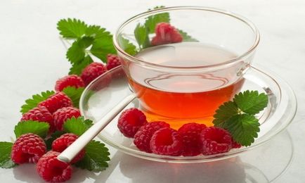 Tealevél málna előnyei és hátrányai, hasznos tulajdonságok (tulajdonságok) Tealevél málna előnyei és hátrányai, hasznos tulajdonságok