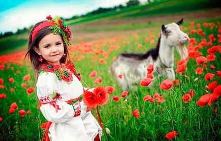 Що означають і символізують кольори вишивки на українських вишиванках, hivemind