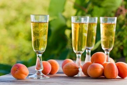 Домашнє вино з абрикосів - дегустація яскравого літа