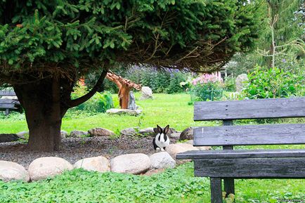 Vizitarea obiectivelor turistice din Mikkeli, Finlanda