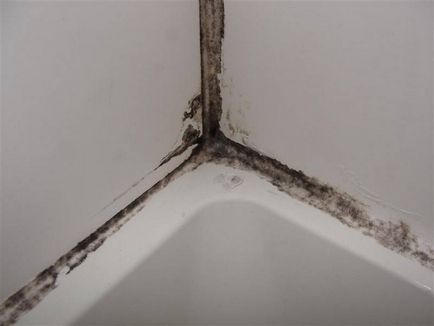 Mijloace eficiente de mucegai negru în baie