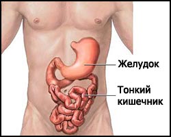 Bélgyulladást Embernél a tünetek entrita