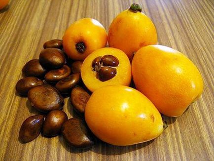 Loquat gyümölcs hasznos tulajdonságok és ellenjavallatok - az életem