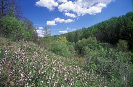 Galichya Mountain Plush trasee, coordonate, descriere, cum să ajungi acolo cu mașina și pe jos