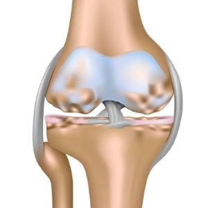 Torna a térdízület arthrosis a szabály, egy példa a gyakorlatok