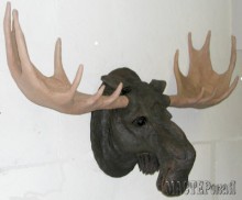 Head egyszarvú u (papírmasé) macterskaya (papír termék) Head egyszarvú u (papírmasé) macterskaya