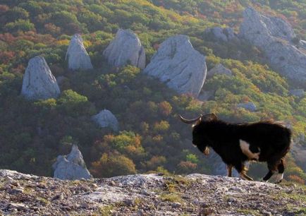 Гора Ільяс-Кая і храм сонця