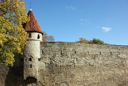 Cetățenia din Estonia procedura de obținere, caracteristici
