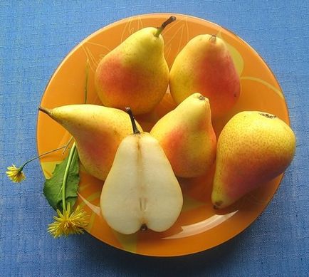Körte előnyei és hátrányai az egészségre, ellenjavallatok (egészségügyi) Körte előnyei és hátrányai az egészségre, ellenjavallatok