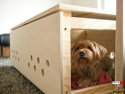 Case interesante auto-făcute pentru câini - pisică pură - mobilier și haine pentru animale - pisică pură -