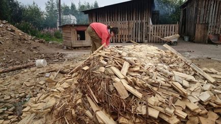 Випробувано на собі працівник притулку для собак