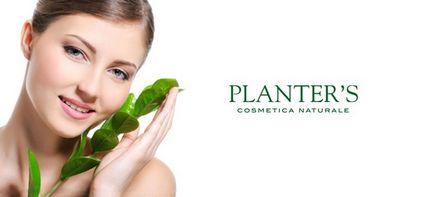 Cositorii italieni de plantare aloe vera