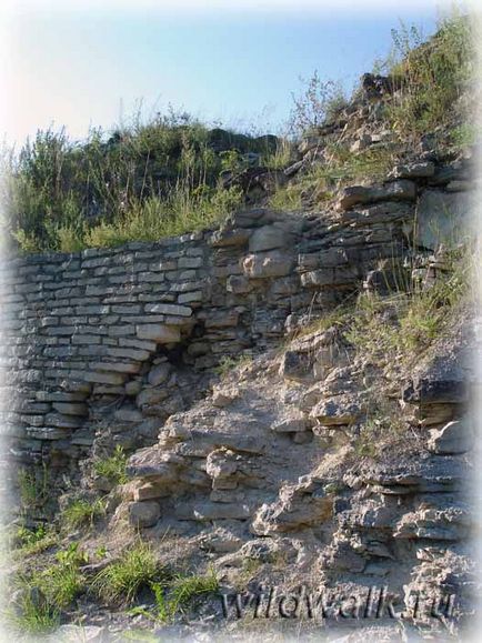 Cetatea Izborsk (Izborsk)