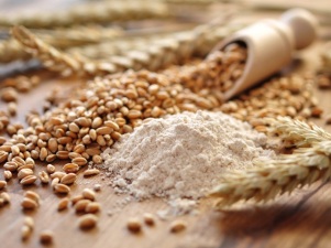 Milyen hasznos kukoricadara - árpa vagy árpa, árpa és miért elismerten a legnagyobb tápláló gabona