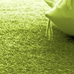 Як чистити ковролін і чим поради для всіх типів покриття