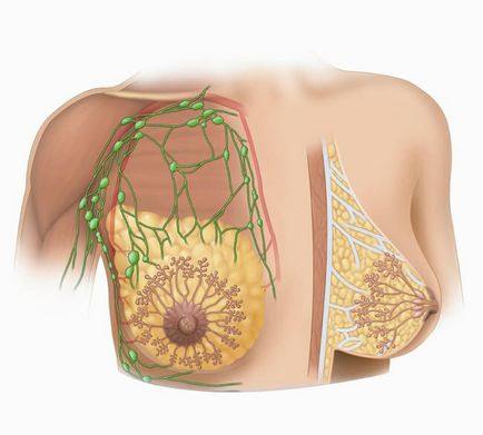 Як лікувати мастопатію тактика боротьби з недугою