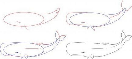 Як намалювати кита