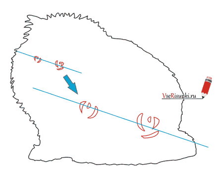 Cum să desenezi o pisică în etape