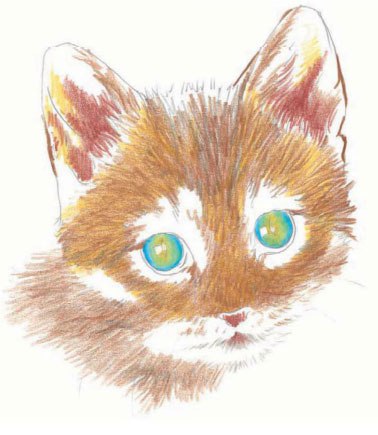 Як намалювати кошеня кольоровими олівцями