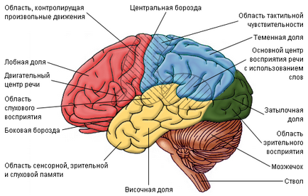 Як визначити чи є питуща людина алкоголіком чи ні