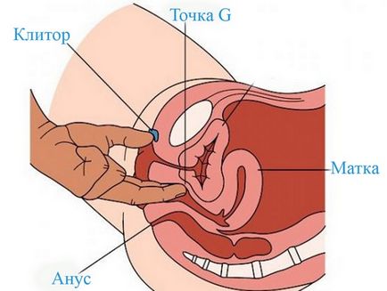 Як правильно масажувати точку g у жінок