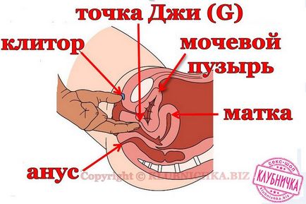 Як правильно масажувати точку g у жінок